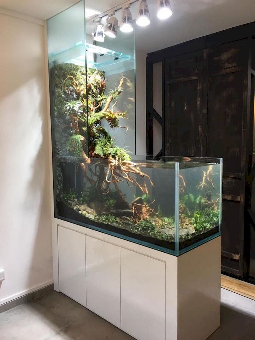 Красивые домашние аквариумы. Дизайнерский аквариум. Длинный аквариум. Интерьерные аквариумы.