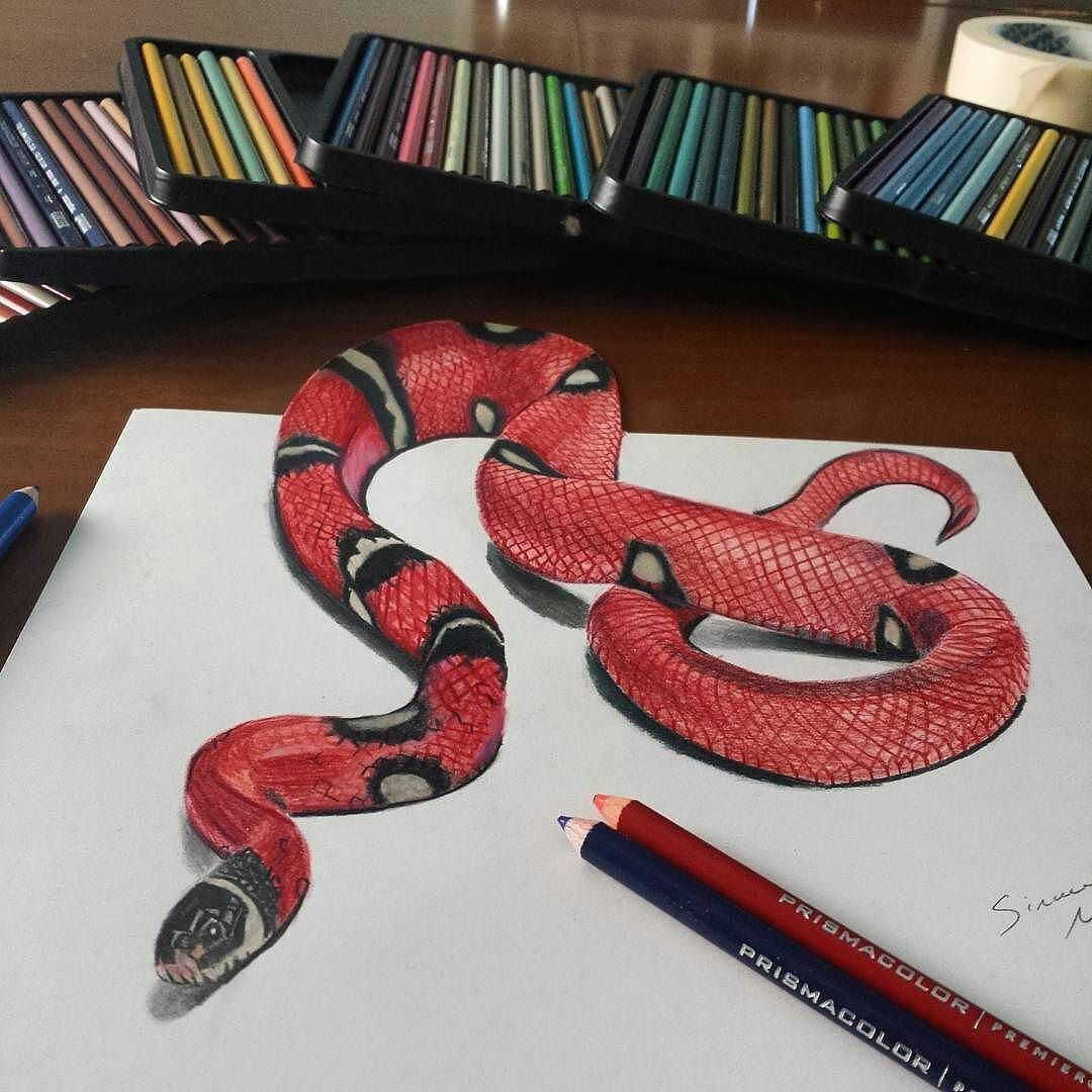 Змейка для начинающих. 3д рисунки. Змея цветными карандашами. Рисунок змеи для срисовки. Рисунки на а3.