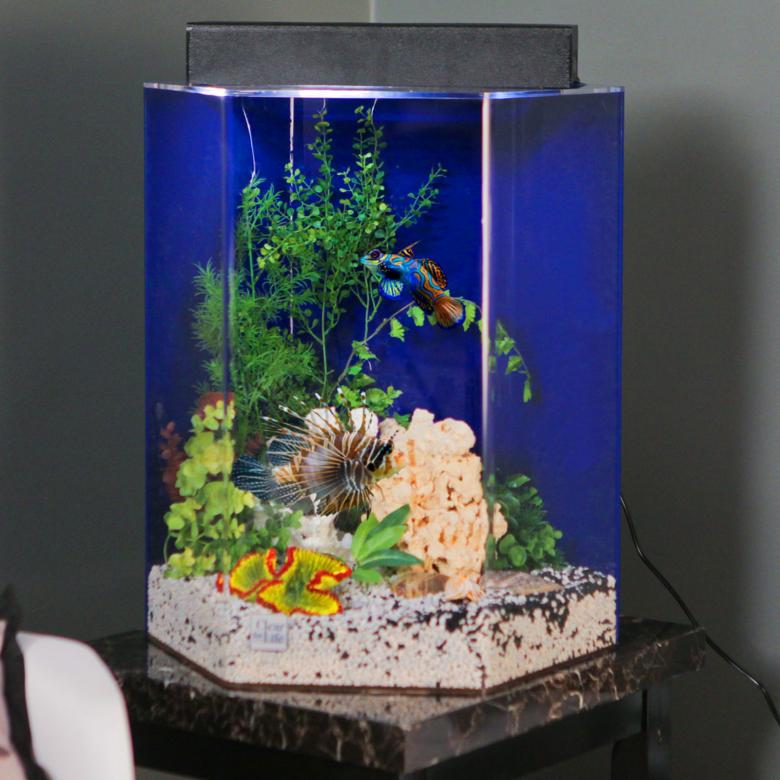 Модульный аквариум своими руками Своими руками