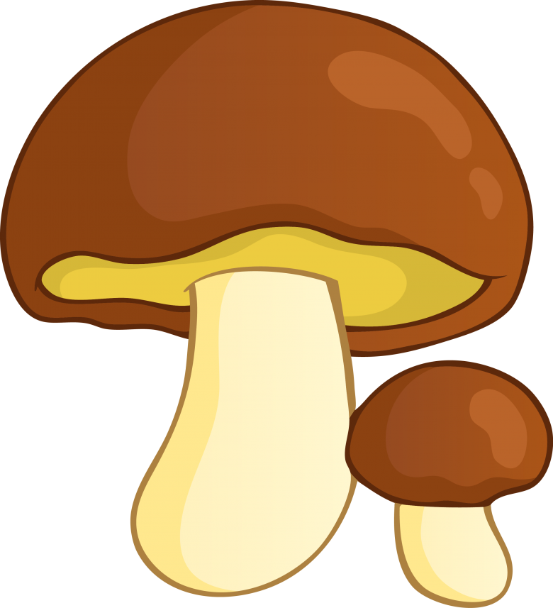 Рисование съедобных грибов